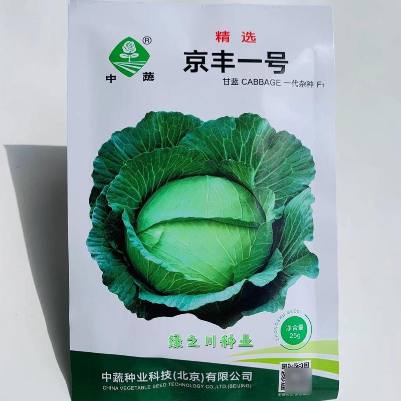 中国农科院精选京丰一号甘蓝种子圆包菜种子莲花白种子