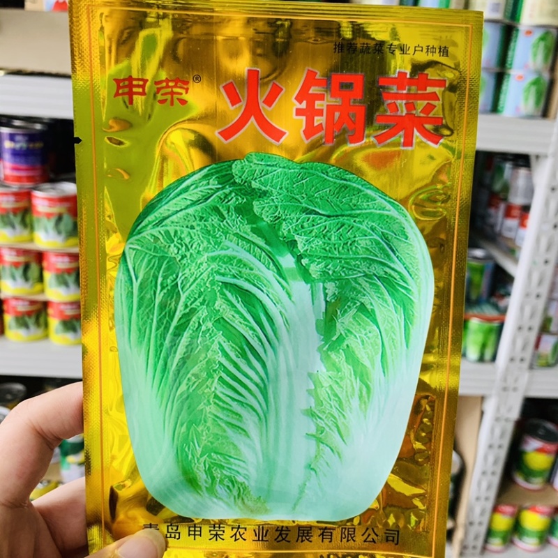 申荣火锅菜大白菜种子叶柄薄而平中晚熟杂交大白菜种籽