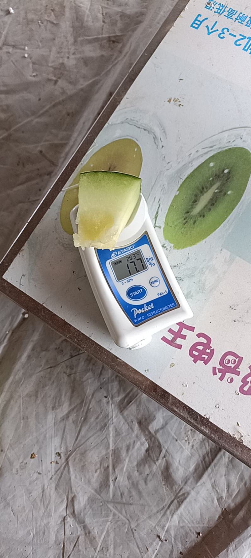白网绿肉，山东哈密瓜玫珑蜜瓜，糖度高对接全国超市与平台