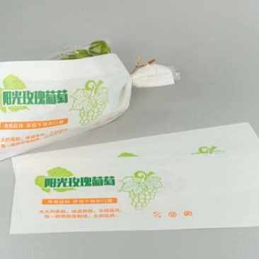 阳光玫瑰葡萄各种包装材料，纸箱，胶框，冷库储存保鲜材料。