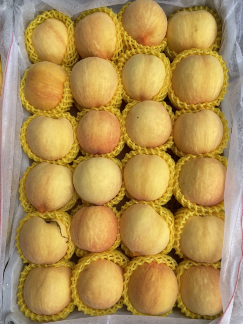 黄菊油桃次桃炸核桃蟠桃黄桃中油8桃子