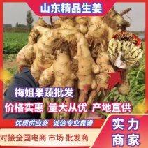 万亩红牙鲜姜大量开挖，大黄姜，小黄姜，货源充足，全国发货