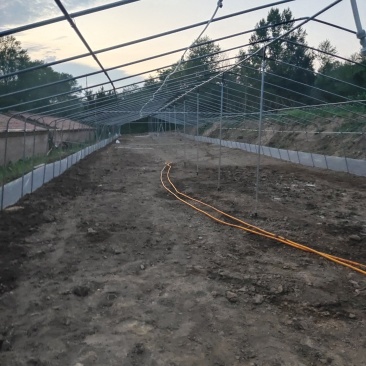 4亩育苗基地，水免费，电用多少，付多少，合作或者单独出租