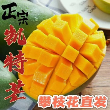 攀枝花高山凯特大芒果5/9斤欢迎各电商对接
