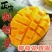 攀枝花高山凯特大芒果5/9斤欢迎各电商对接