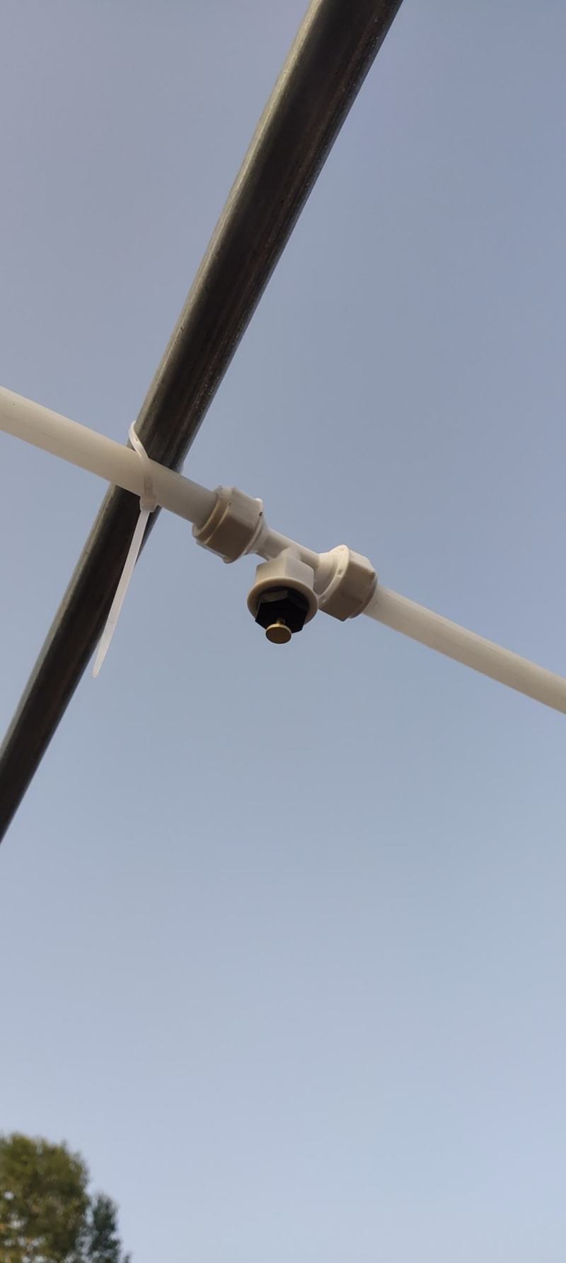 4亩育苗基地，水免费，电用多少，付多少，合作或者单独出租