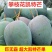 攀枝花高山凯特大芒果5/9斤欢迎各电商对接