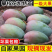 攀枝花高山凯特大芒果5/9斤欢迎各电商对接
