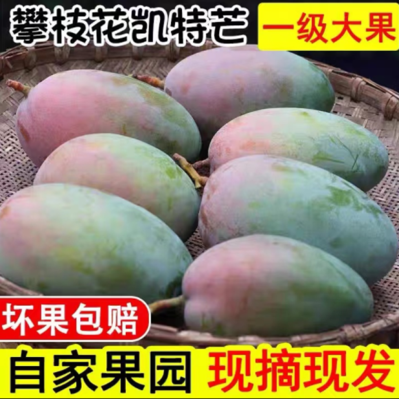 攀枝花高山凯特大芒果5/9斤欢迎各电商对接