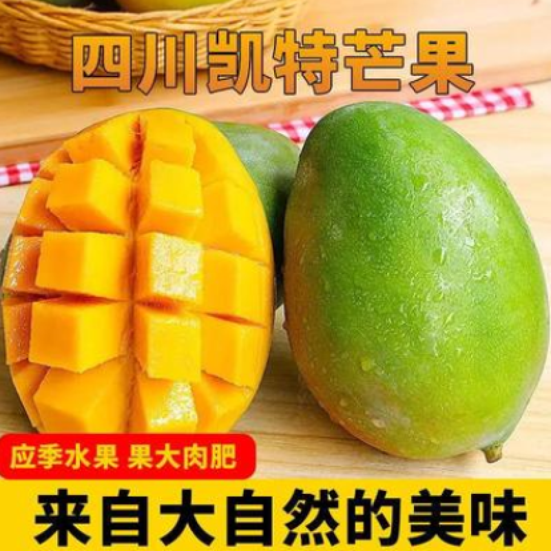 攀枝花高山凯特大芒果5/9斤欢迎各电商对接