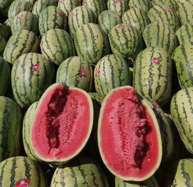 【推荐】正宗宁夏硒砂瓜万亩基地直供石头缝里的西瓜金成五号