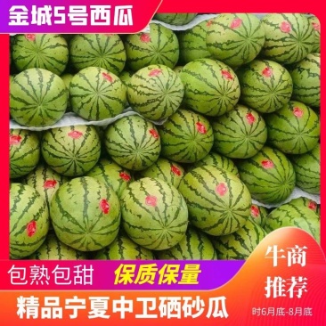 【推荐】宁夏硒砂瓜双红金城五号双红金花中卫硒砂瓜香山