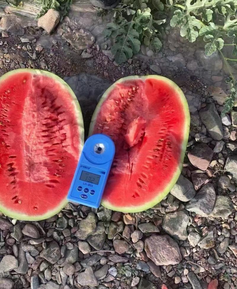 【推荐】正宗宁夏硒砂瓜万亩基地直供石头缝里的西瓜金成五号