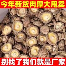 【产地新货】干花菇香菇特价500g短根肉厚冬菇蘑菇菌菇批