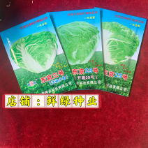 东京系列（开蔬）大白菜，高抗大白菜三大病害，品质好