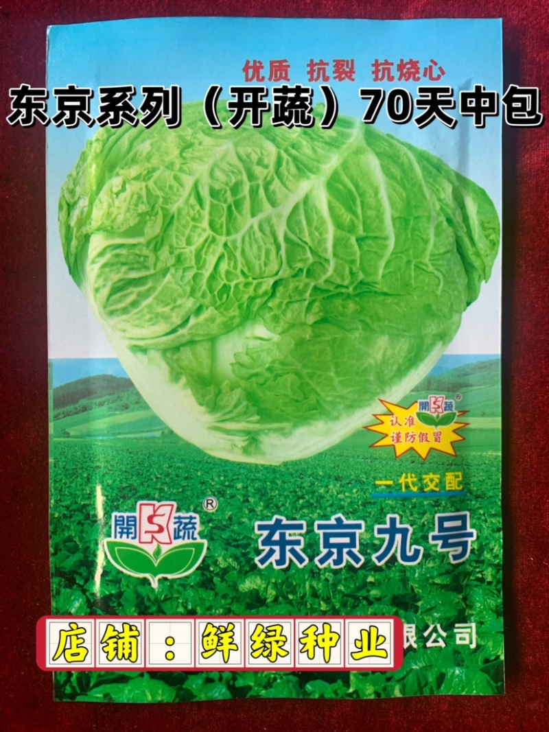 东京系列（开蔬）大白菜，高抗大白菜三大病害，品质好