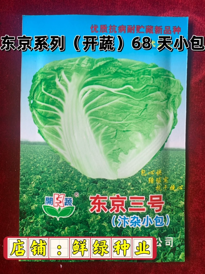 东京系列（开蔬）大白菜，高抗大白菜三大病害，品质好