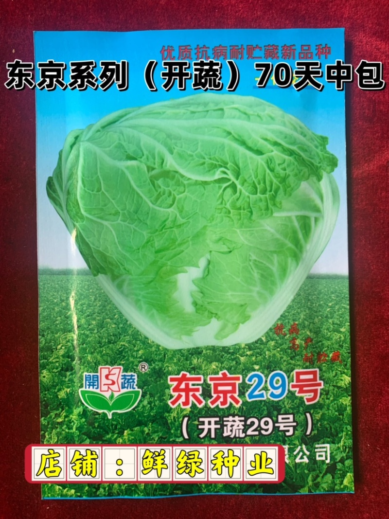 东京系列（开蔬）大白菜，高抗大白菜三大病害，品质好