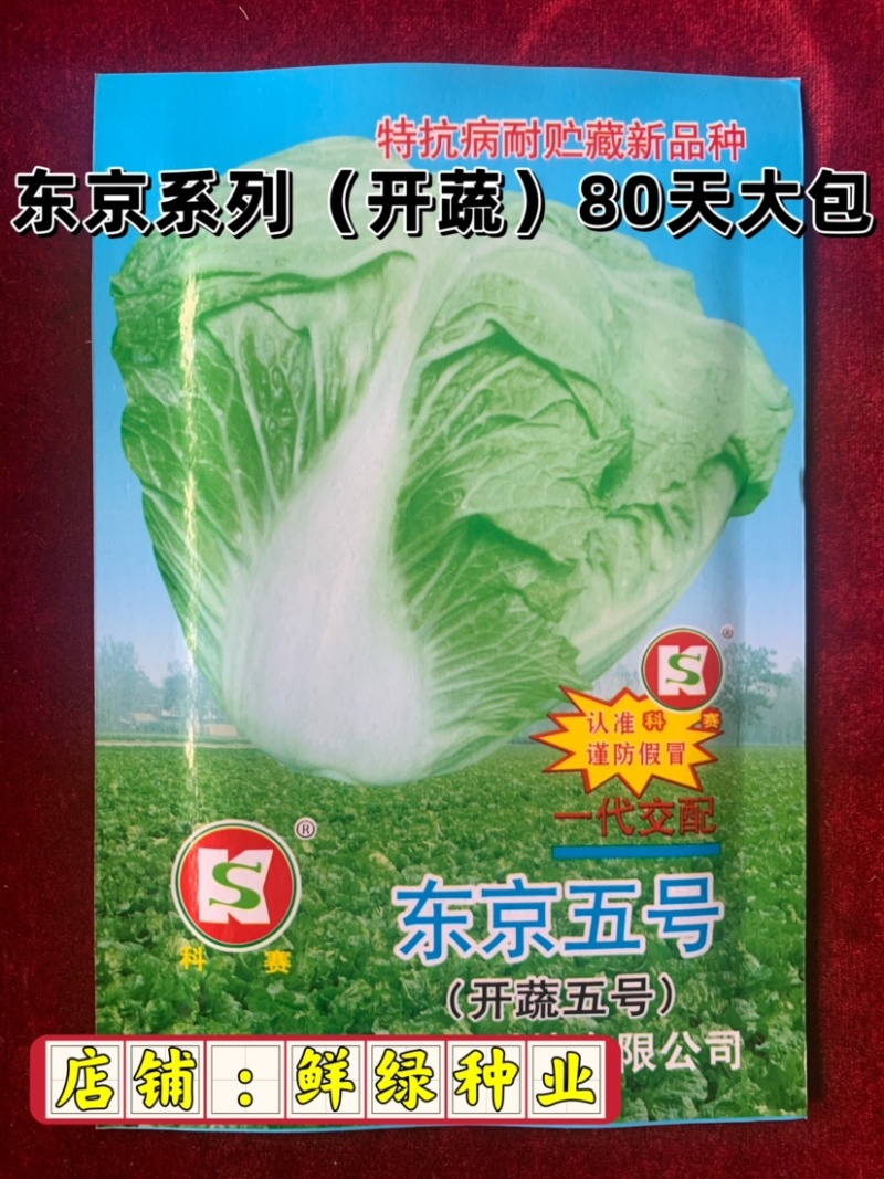 东京系列（开蔬）大白菜，高抗大白菜三大病害，品质好