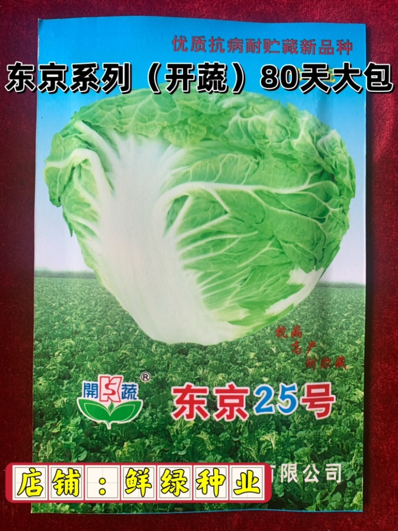 东京系列（开蔬）大白菜，高抗大白菜三大病害，品质好