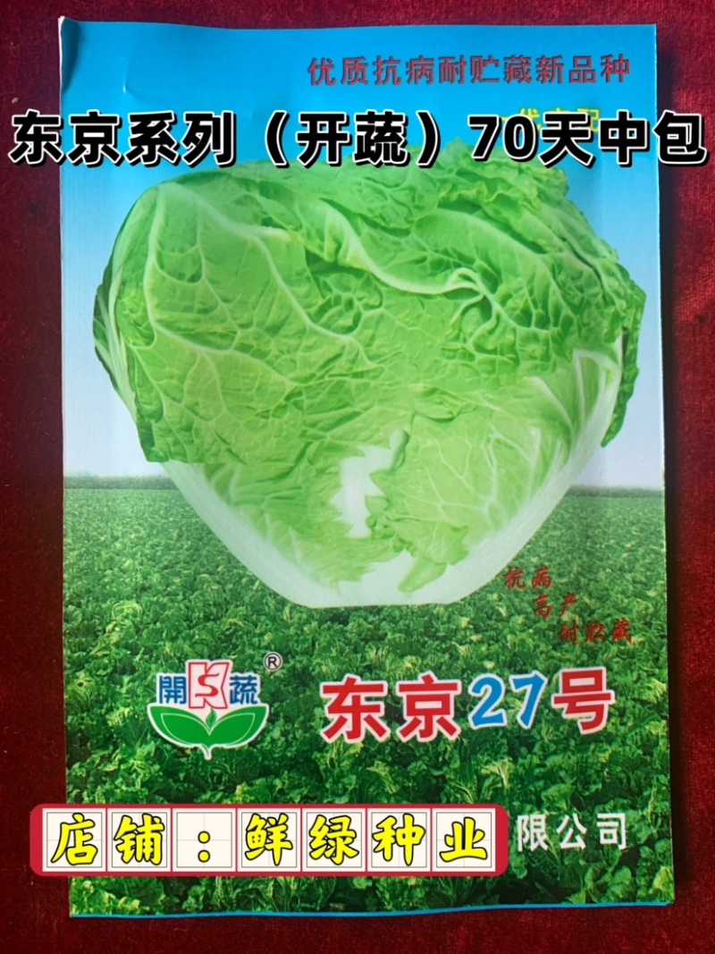 东京系列（开蔬）大白菜，高抗大白菜三大病害，品质好