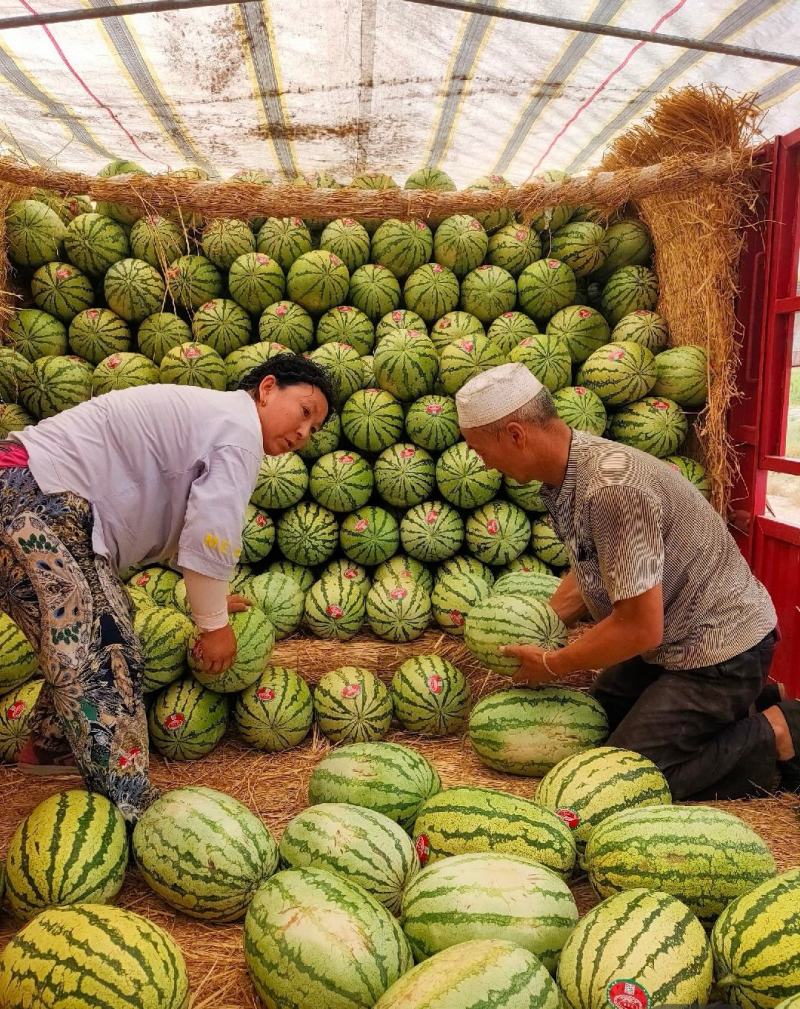 金城5号西瓜，宁夏硒砂瓜，宁夏西瓜，干旱带上的精华