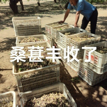 大量出售