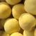 锦绣甜黄桃，7月底上市，量大质优，每天3万到5万斤