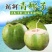 海南椰青大量批发供应-支持一件代发平台电商供应货源充足