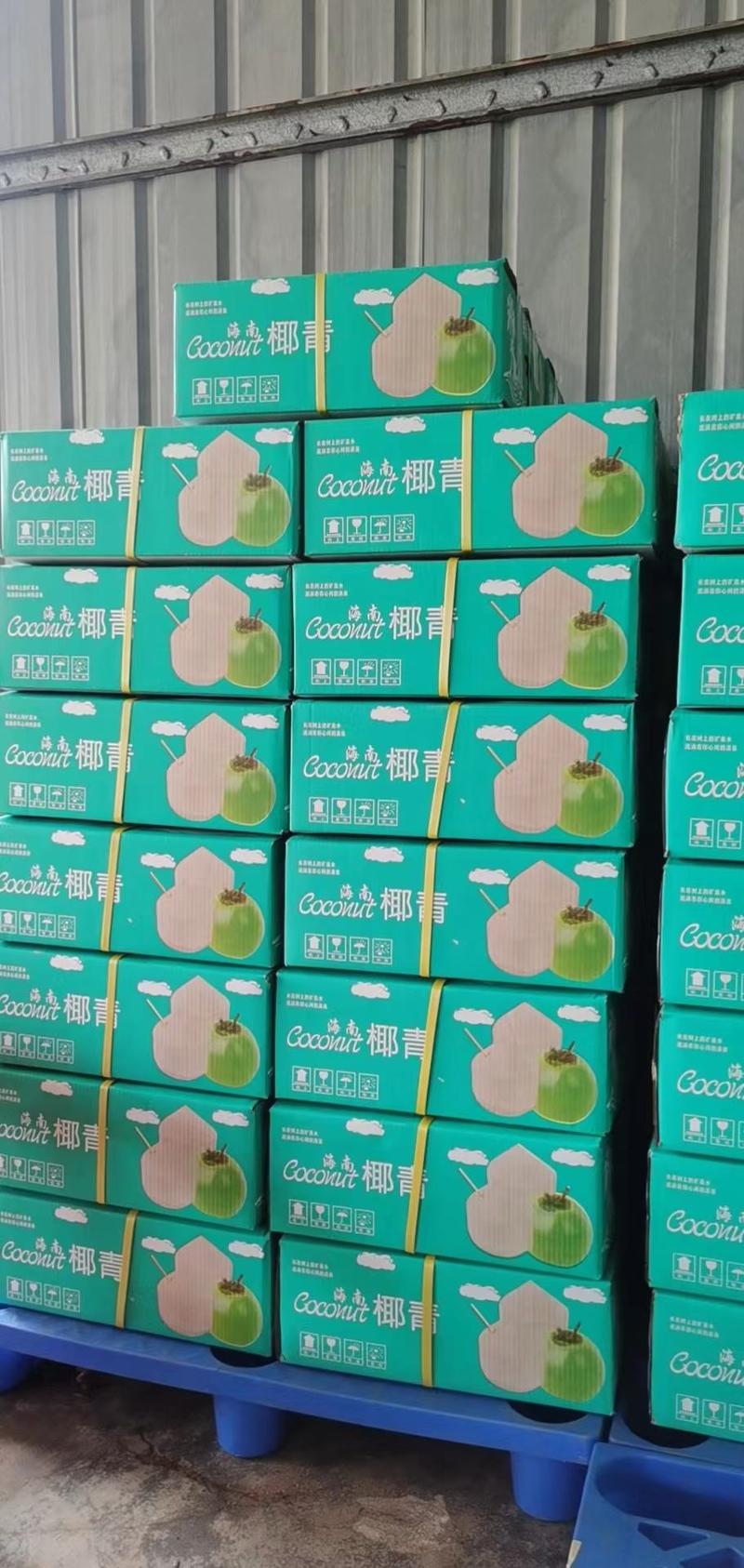 海南万宁椰子大量批发供-支持一件代发社区团购椰子鸡清补凉