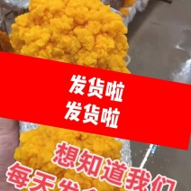 金耳菌包大量供应，厂家直供。可做给地址就发货懂的来