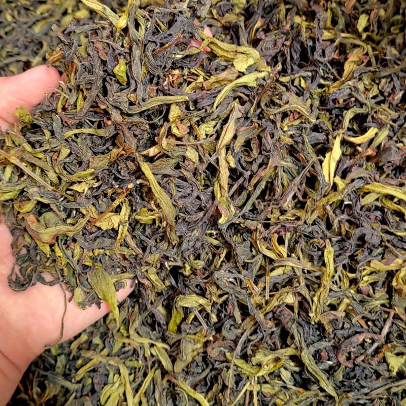 土山茶惠来土山茶潮汕大坪土山茶叶浓香型高山茶诏安八仙茶叶