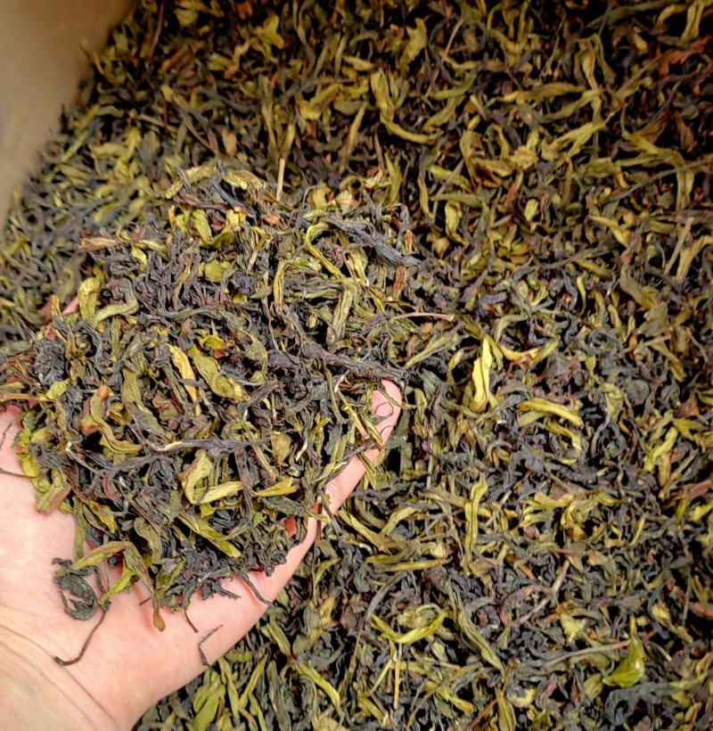 土山茶惠来土山茶潮汕大坪土山茶叶浓香型高山茶诏安八仙茶叶