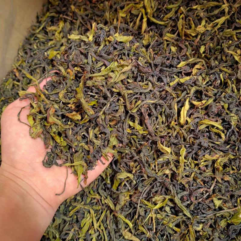 土山茶惠来土山茶潮汕大坪土山茶叶浓香型高山茶诏安八仙茶叶