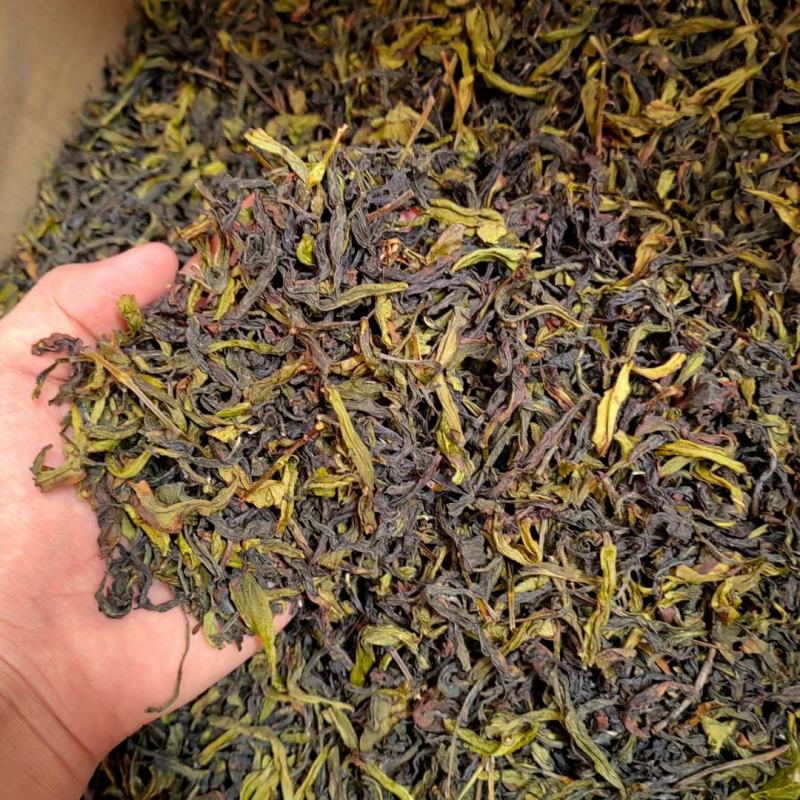土山茶惠来土山茶潮汕大坪土山茶叶浓香型高山茶诏安八仙茶叶
