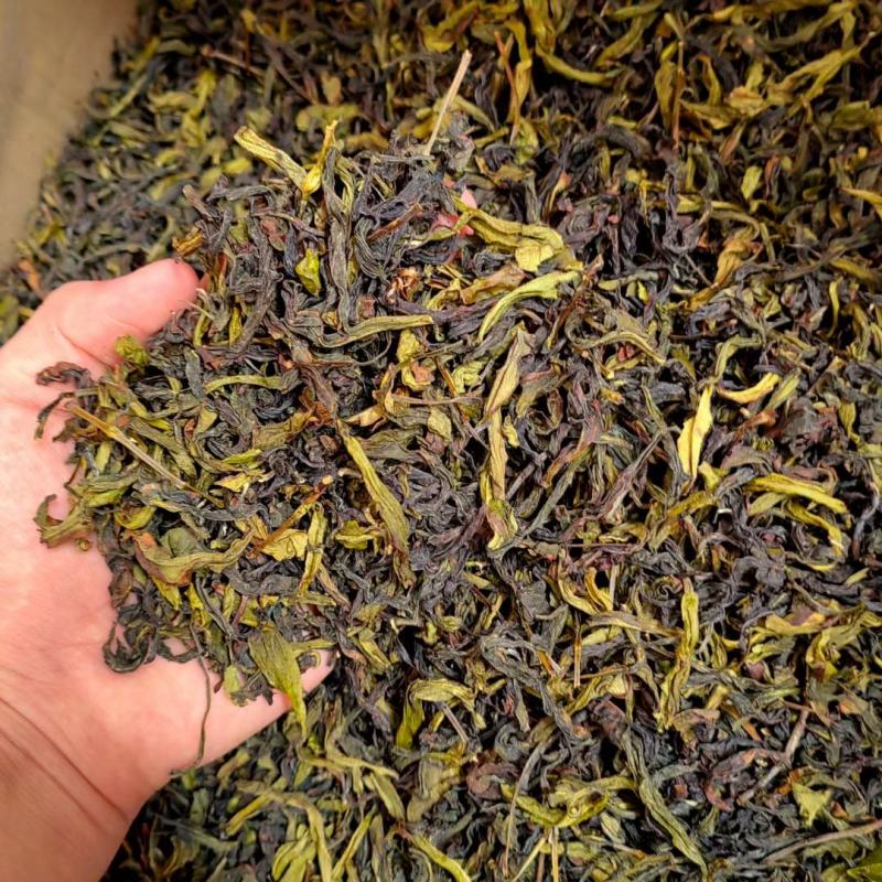 土山茶惠来土山茶潮汕大坪土山茶叶浓香型高山茶诏安八仙茶叶