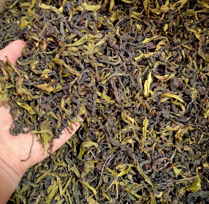 土山茶惠来土山茶潮汕大坪土山茶叶浓香型高山茶诏安八仙茶叶