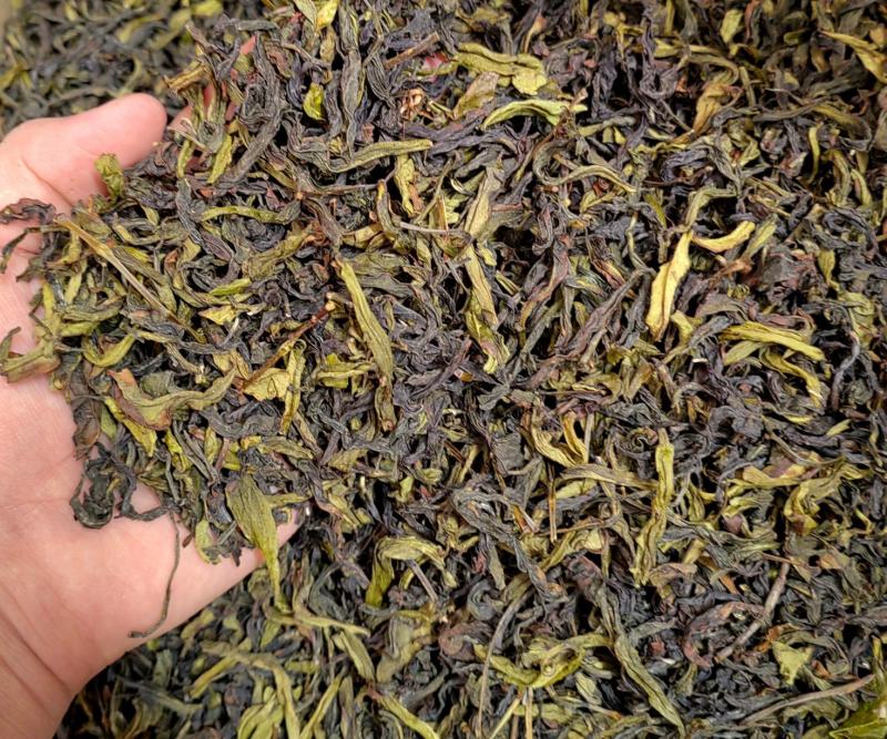 土山茶惠来土山茶潮汕大坪土山茶叶浓香型高山茶诏安八仙茶叶