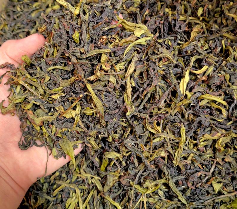 土山茶惠来土山茶潮汕大坪土山茶叶浓香型高山茶诏安八仙茶叶