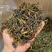 土山茶惠来土山茶潮汕大坪土山茶叶浓香型高山茶诏安八仙茶叶