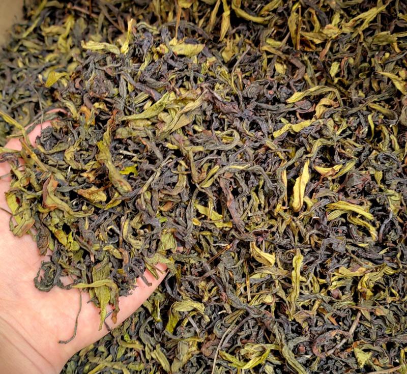 土山茶惠来土山茶潮汕大坪土山茶叶浓香型高山茶诏安八仙茶叶