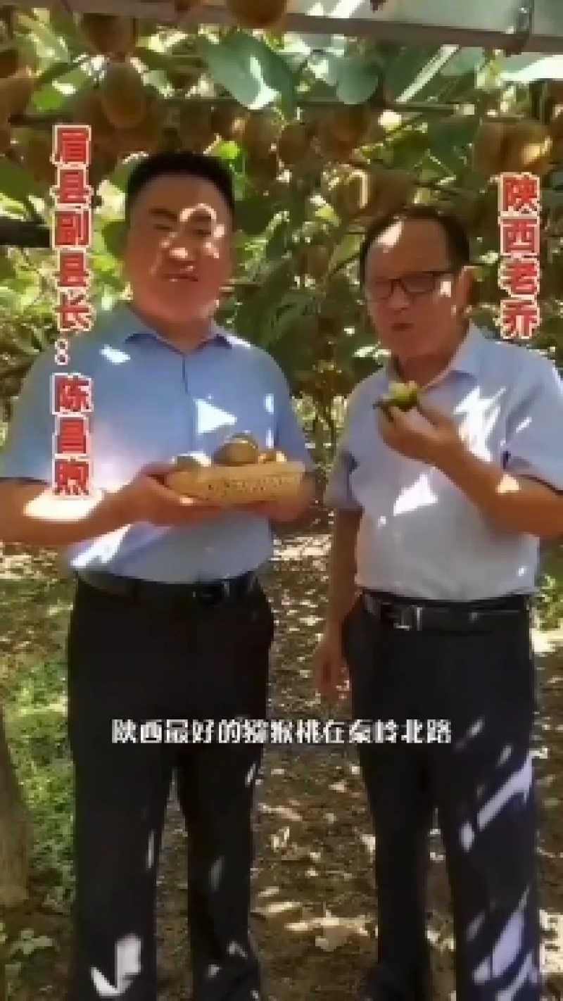徐香猕猴桃