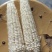 万糯2000玉米大量上市无虫眼籽粒饱满基地直供