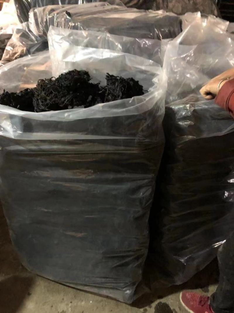 烘干裙带菜海白菜裙带叶免洗裙带菜盐干裙带菜裙带菜