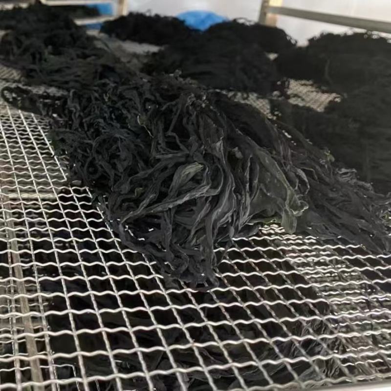 烘干裙带菜海白菜裙带叶免洗裙带菜盐干裙带菜裙带菜