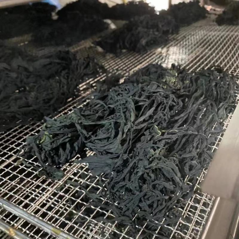 烘干裙带菜海白菜裙带叶免洗裙带菜盐干裙带菜裙带菜