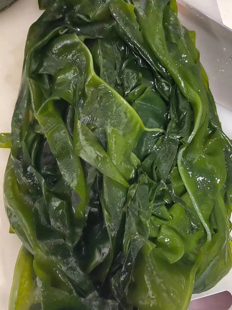 烘干裙带菜海白菜裙带叶免洗裙带菜盐干裙带菜裙带菜