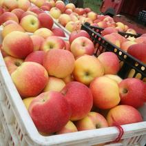 美八苹果大量上货产地一手货源基地直发精品批发