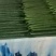 黄瓜，产地直销，量大从优，价格随行就市，可视频看货