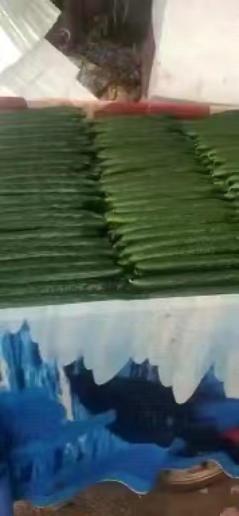 黄瓜，产地直销，量大从优，价格随行就市，可视频看货